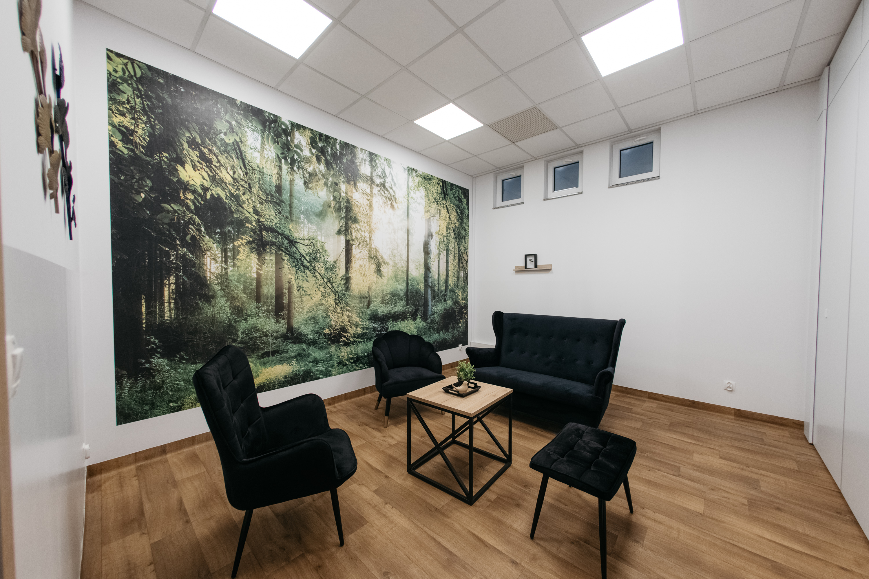 Gabinet terapeutyczny Duo-Logo — fotele, mural leśny